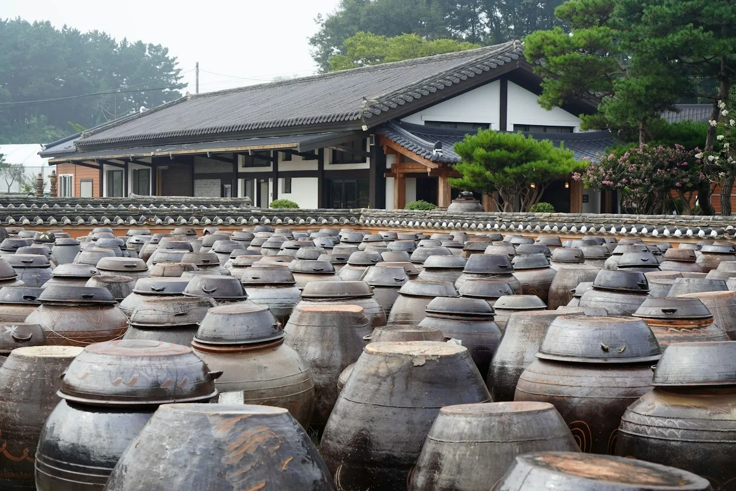 장독대의 전통 장류 항아리