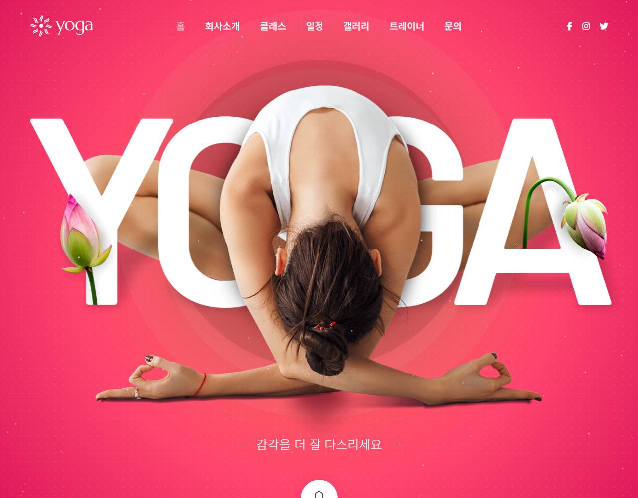 요가 & 명상